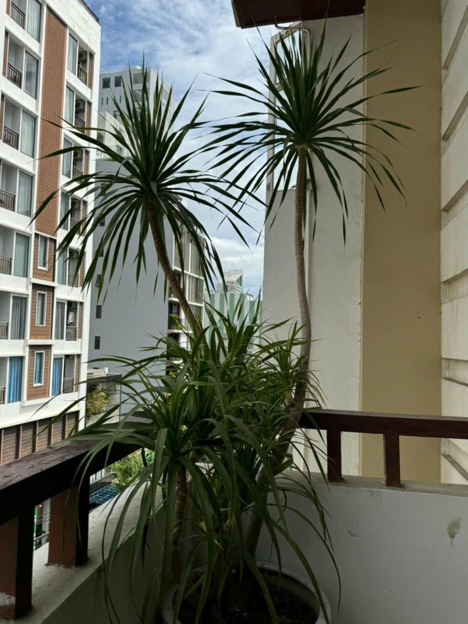 Thanh Hien Hb Hotel Da Nang Dış mekan fotoğraf