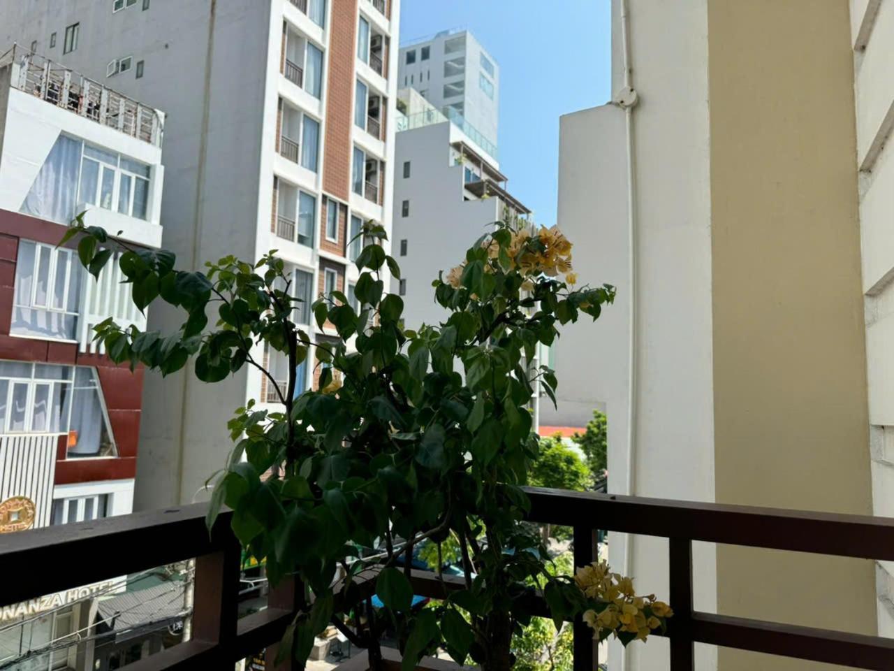 Thanh Hien Hb Hotel Da Nang Dış mekan fotoğraf